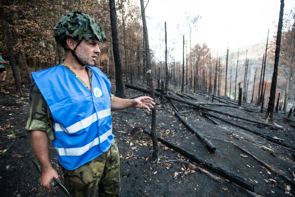 Geobotanik Michal Hejcman na požářišti v Českém Švýcarsku | Foto: René Volfík | Zdroj: iROZHLAS.cz